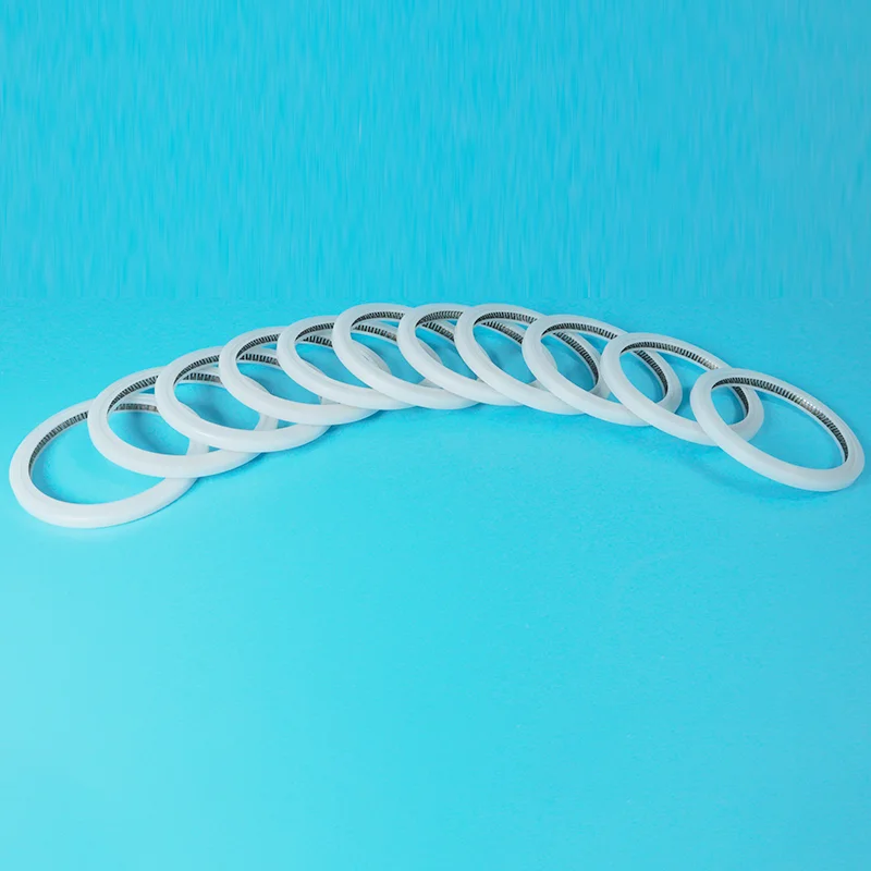 V-Tipe Spring Energized Seal